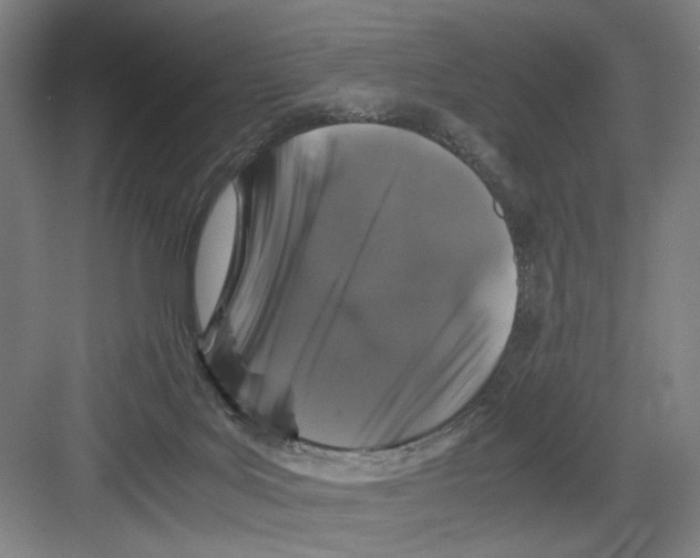 X0000082170027200702162312