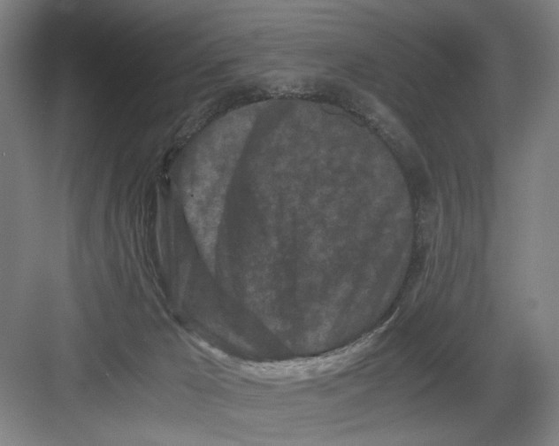 X0000082170029200702162312