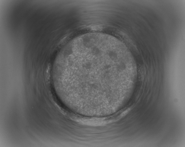 X0000082170032200702162312