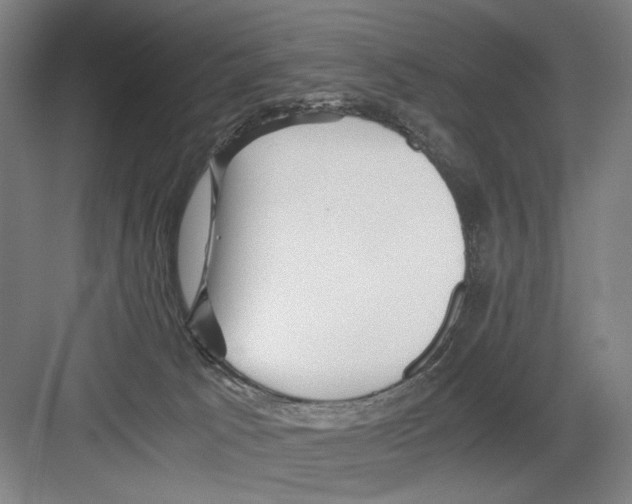 X0000082170033200702162312