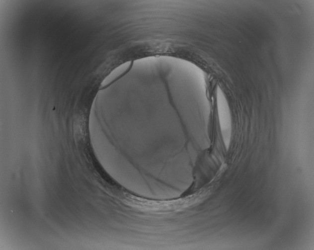 X0000082170035200702162312