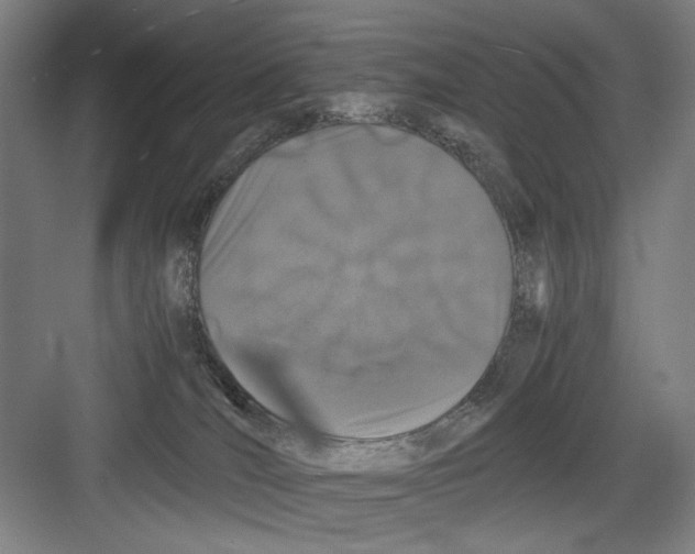 X0000082170036200702162312