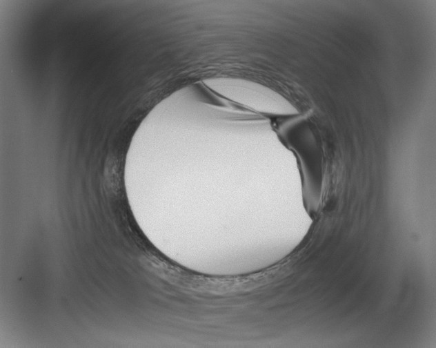 X0000082170037200702162312