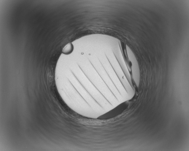 X0000082170040200702162312