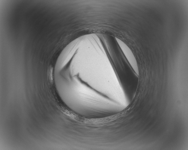 X0000082170041200702162312