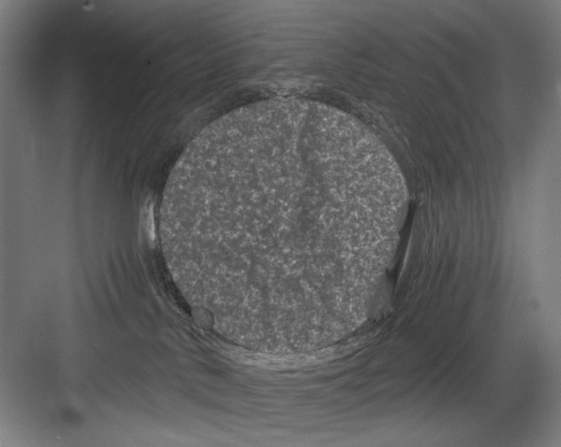 X0000082170042200702162312