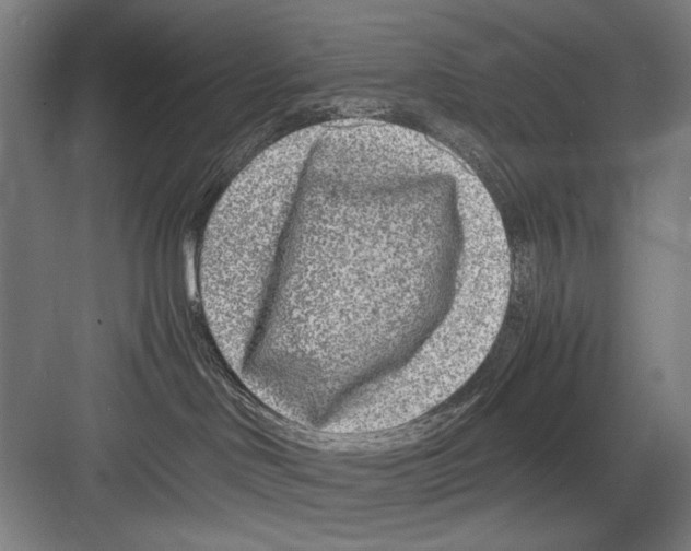 X0000082170046200702162312