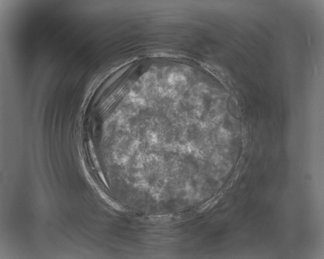 X0000082170049200702162311