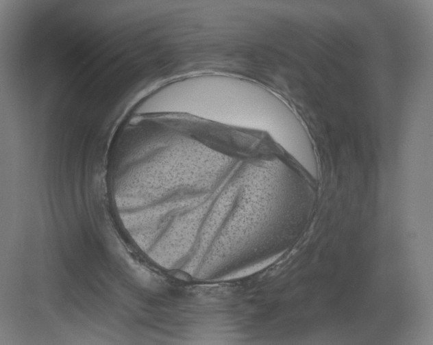 X0000082170050200702162311