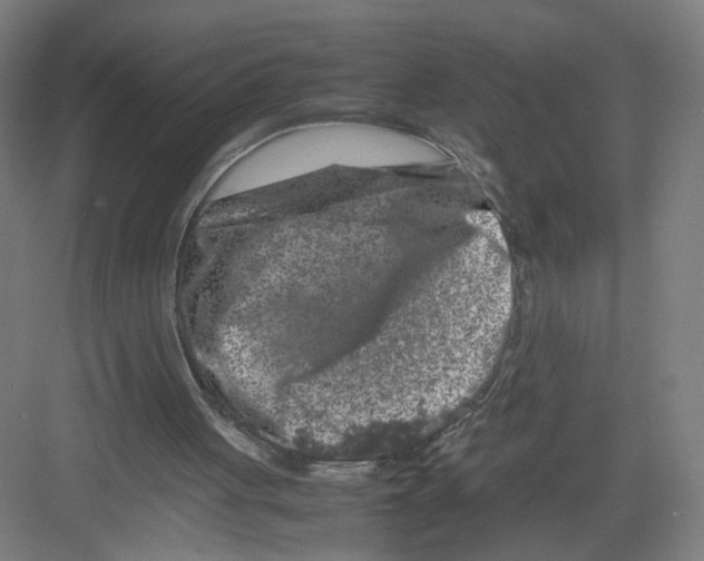 X0000082170051200702162311