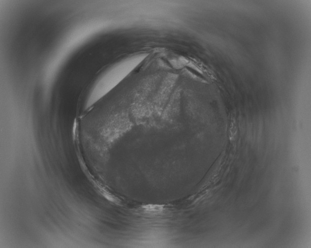 X0000082170052200702162311