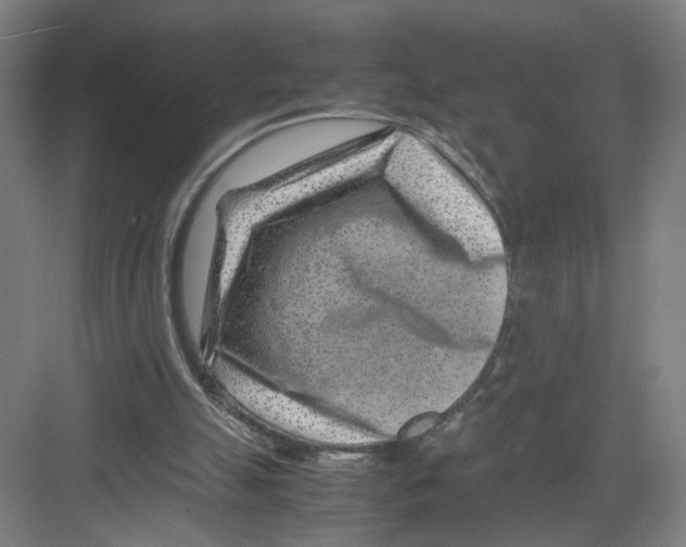 X0000082170055200702162311