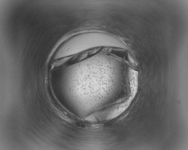 X0000082170056200702162311