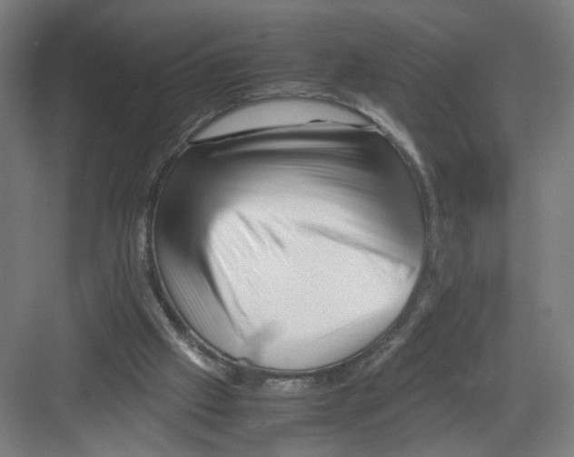 X0000082170057200702162311