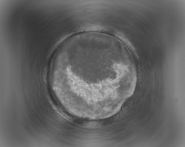 X0000082170058200702162311