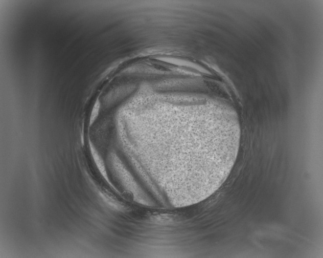 X0000082170062200702162311