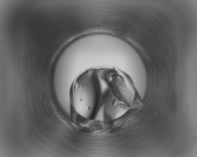 X0000082170064200702162311