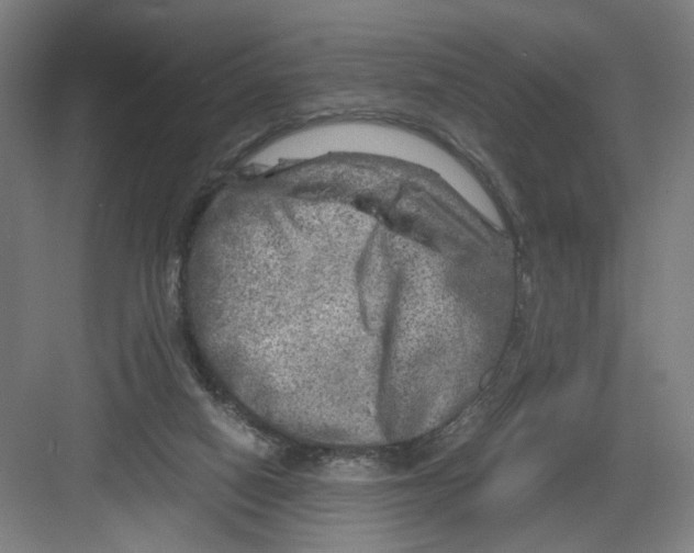 X0000082170066200702162311