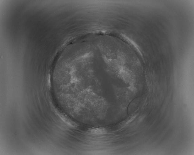 X0000082170067200702162311