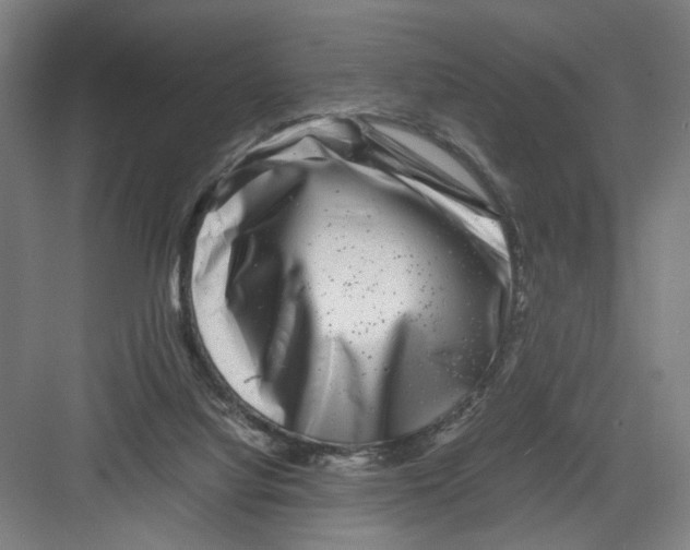 X0000082170068200702162311