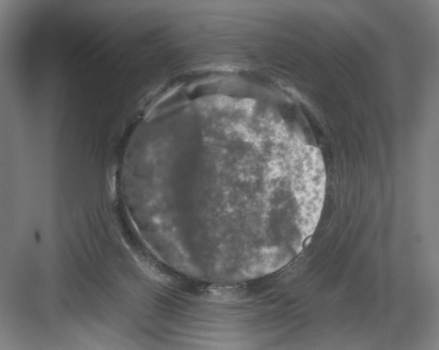 X0000082170070200702162311