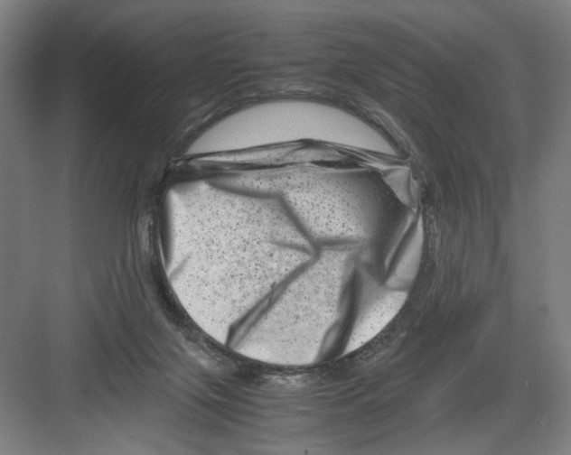 X0000082170071200702162311