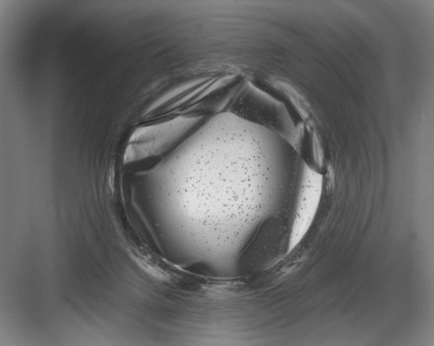 X0000082170072200702162312