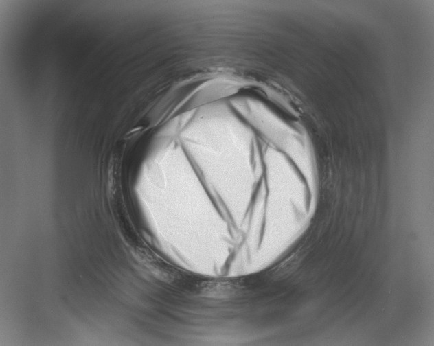 X0000082170074200702162312