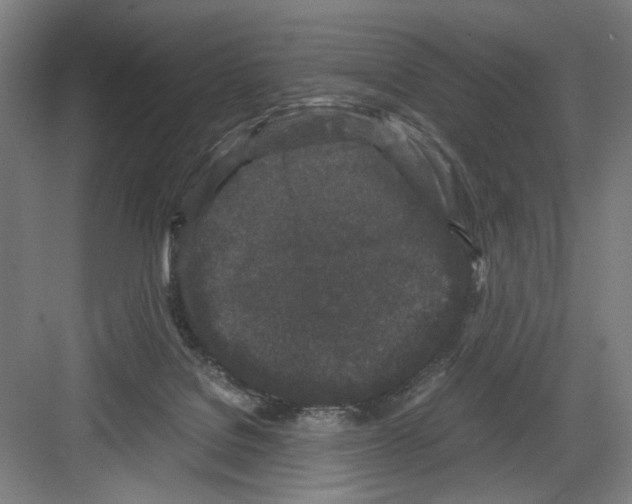 X0000082170076200702162312