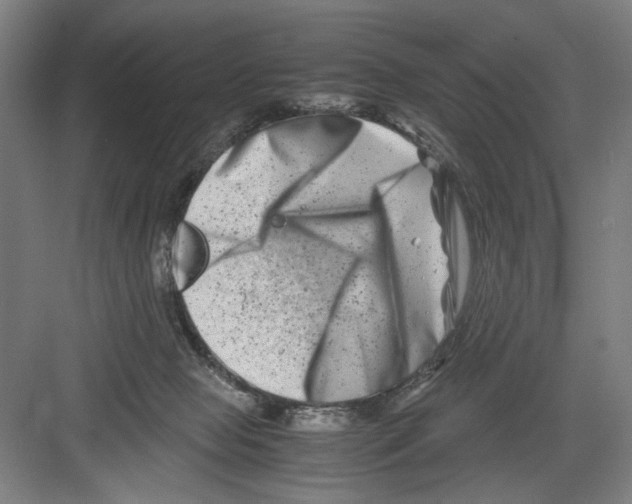 X0000082170077200702162312