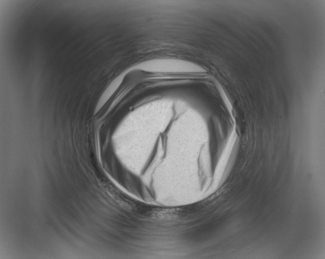 X0000082170078200702162312