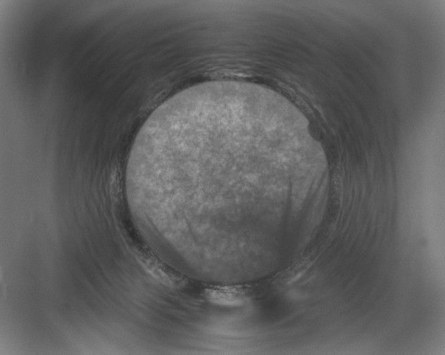 X0000082170079200702162312