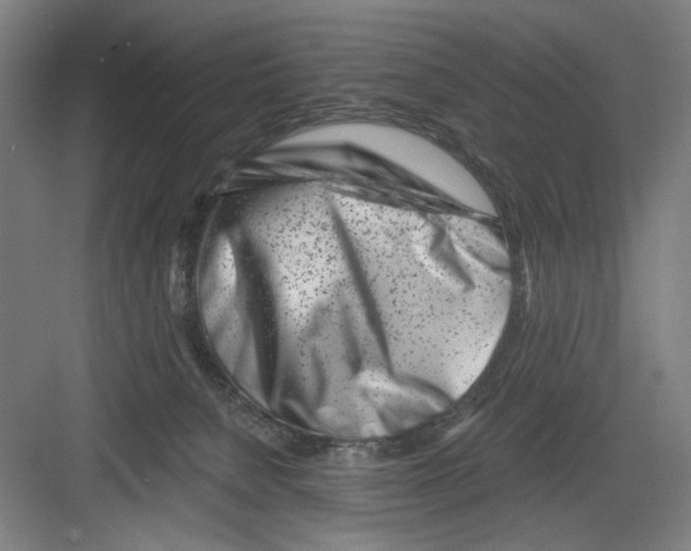 X0000082170080200702162312