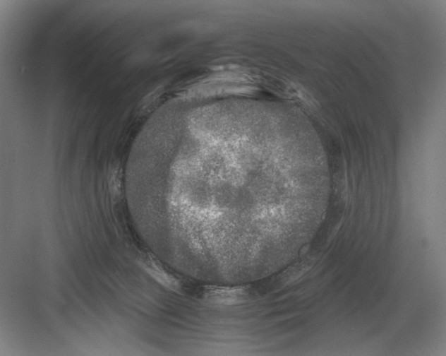 X0000082170081200702162312