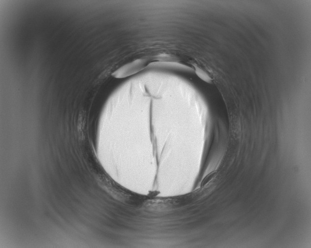 X0000082170082200702162312