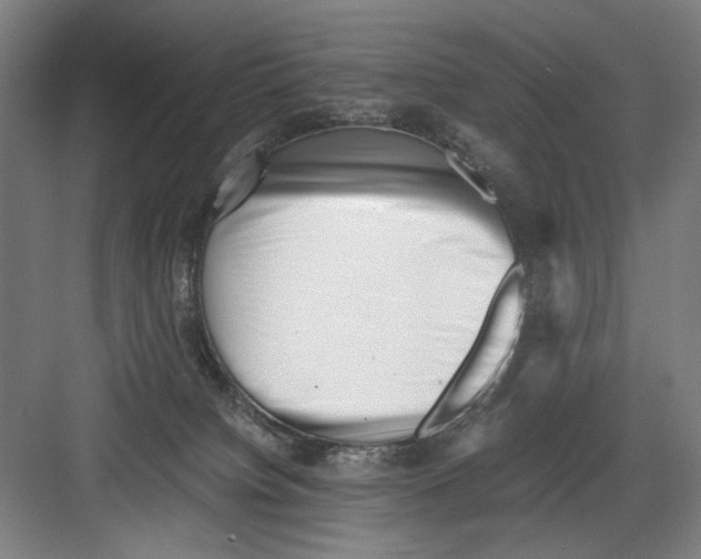 X0000082170084200702162312