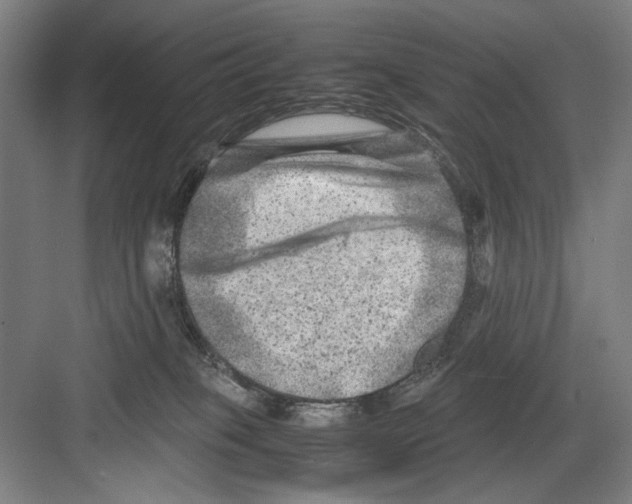 X0000082170085200702162312