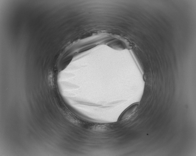 X0000082170086200702162312