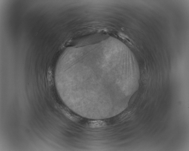 X0000082170087200702162312