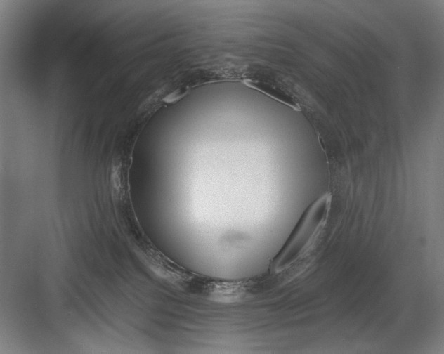 X0000082170088200702162312