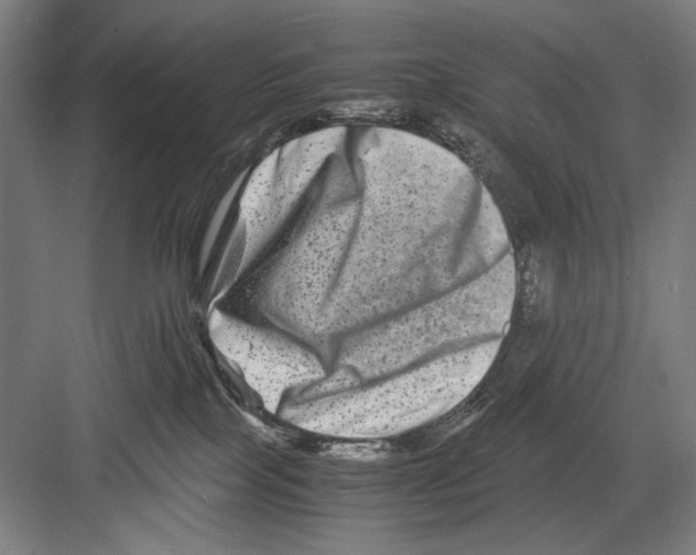 X0000082170089200702162312