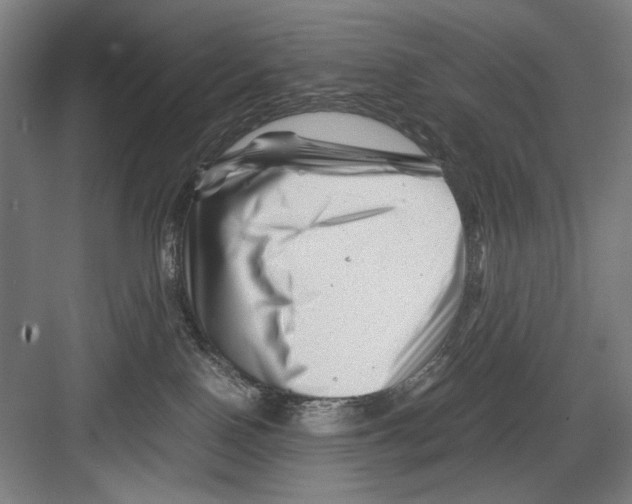 X0000082170090200702162312