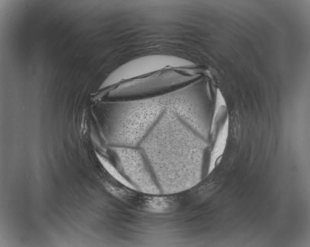 X0000082170091200702162312