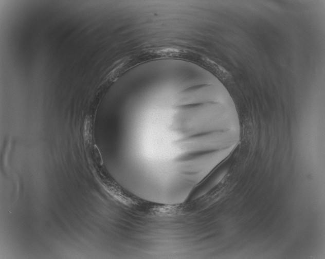 X0000082170092200702162312