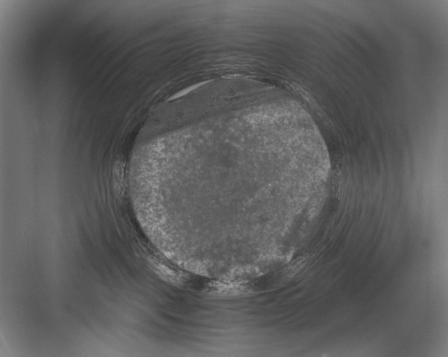 X0000082170093200702162312