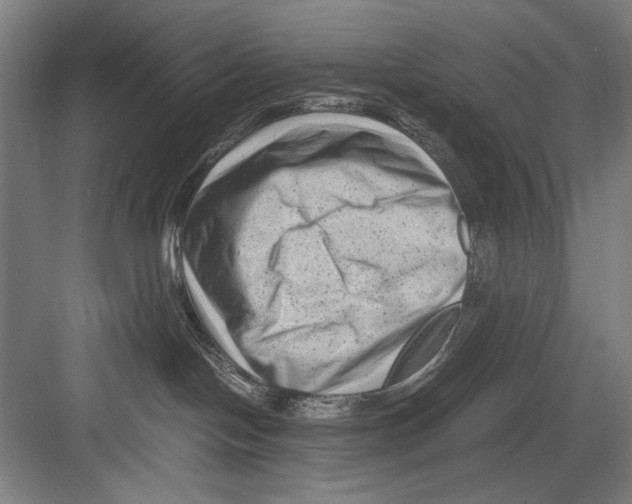 X0000082170094200702162312