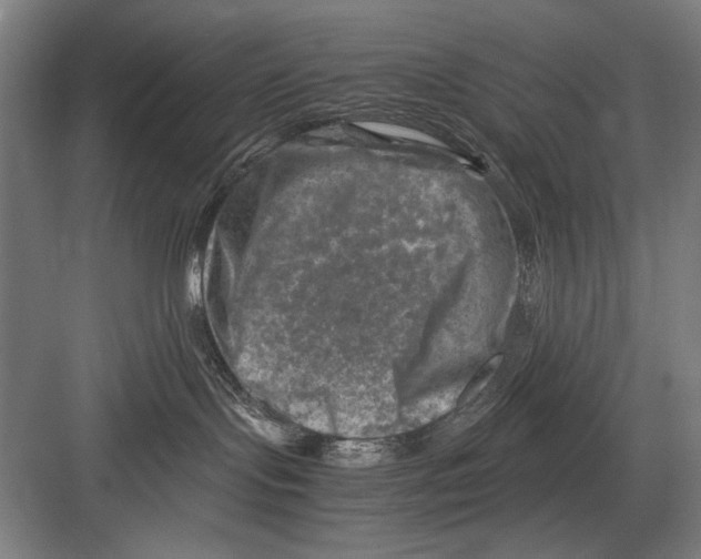 X0000082170095200702162312