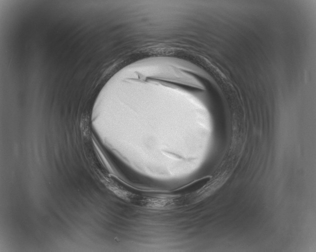 X0000082170096200702162312