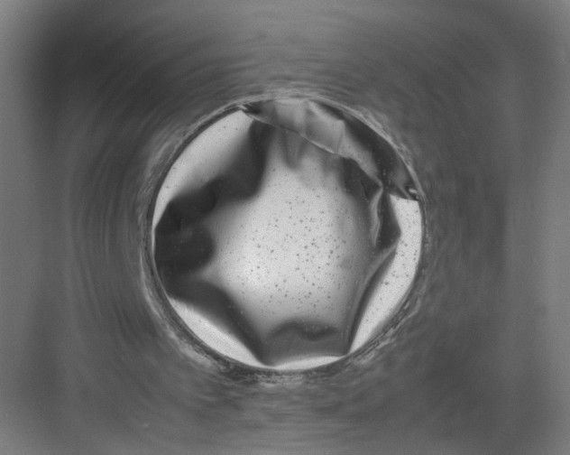 X0000082170097200702162311