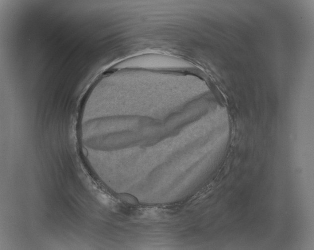 X0000082170098200702162311